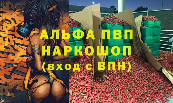 твердый Бородино