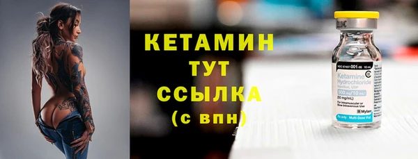 твердый Бородино