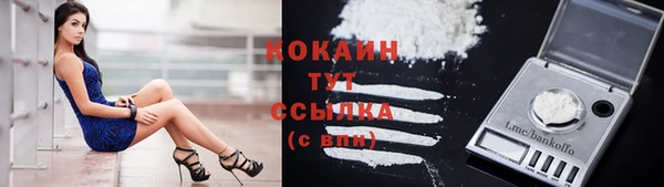 твердый Бородино
