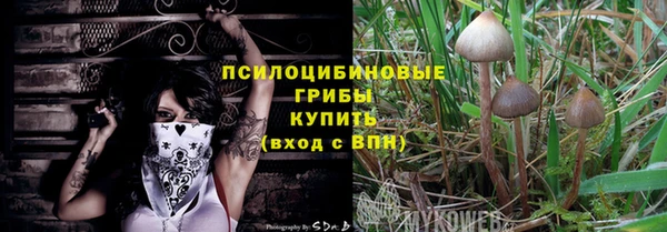 крисы Бронницы