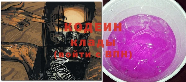 крисы Бронницы