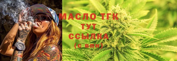 твердый Бородино