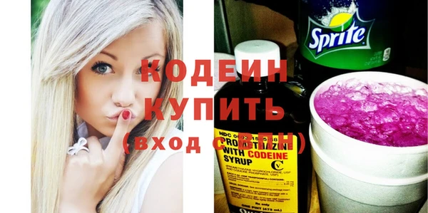 твердый Бородино