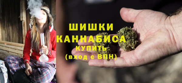 твердый Бородино