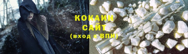 твердый Бородино