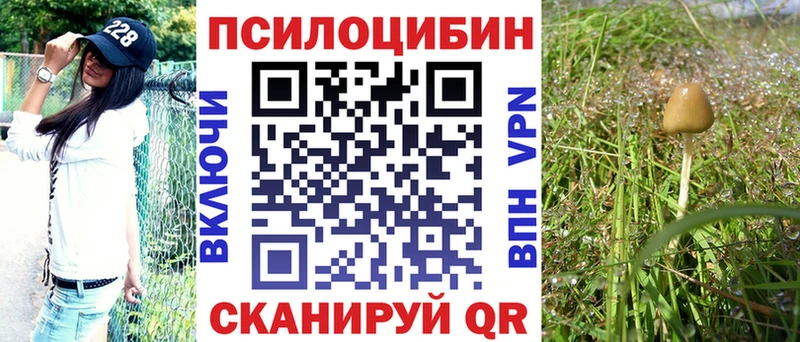 Галлюциногенные грибы прущие грибы  Рузаевка 